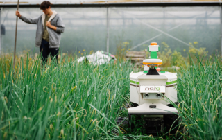 Whizzard of horticulture: Autonomous robot OZ from Naio Technologies|Whizzard of horticulture: Autonomous robot OZ from Naio Technologies